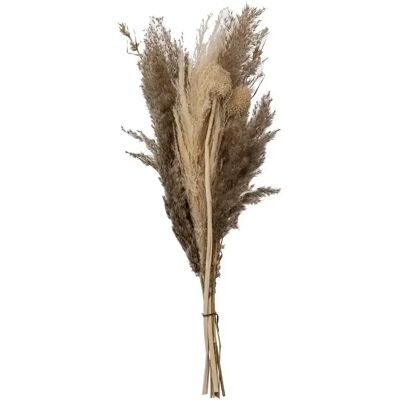 ATMOSPHERA Bouquet de Fleurs Séchées Pampa 58cm Naturel - Publicité ATMOSPHERA Bouquet de Fleurs Séchées Pampa 58cm Naturel - Publicité