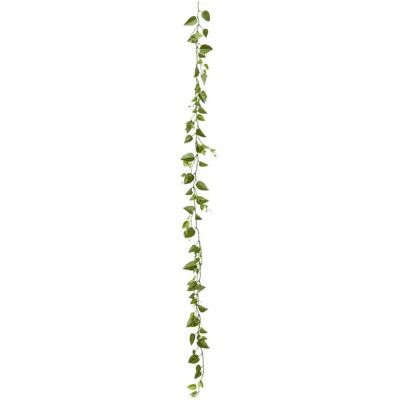 ATMOSPHERA Guirlande Pothos Artificiel Bellan 180cm Vert - Publicité ATMOSPHERA Guirlande Pothos Artificiel Bellan 180cm Vert - Publicité