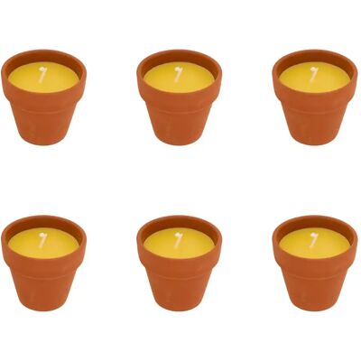 ATMOSPHERA Lot de 6 Bougies Parfumées en Terre Cuite Terry 40g Citronnelle - Publicité ATMOSPHERA Lot de 6 Bougies Parfumées en Terre Cuite Terry 40g Citronnelle - Publicité