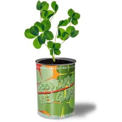 Eurowebbiz Trèfle à quatre feuilles - Décoration intérieure - Publicité Eurowebbiz Trèfle à quatre feuilles - Décoration intérieure - Publicité