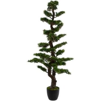Pegane Bonsai Polyéthylène - H149 cm - Publicité Pegane Bonsai Polyéthylène - H149 cm - Publicité