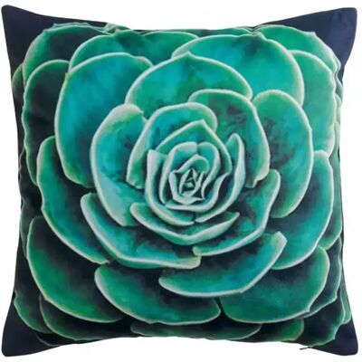 Douceur d'intérieur - ARTY - Succulente - Oreiller décoratif - Publicité Douceur d'intérieur - ARTY - Succulente - Oreiller décoratif - Publicité