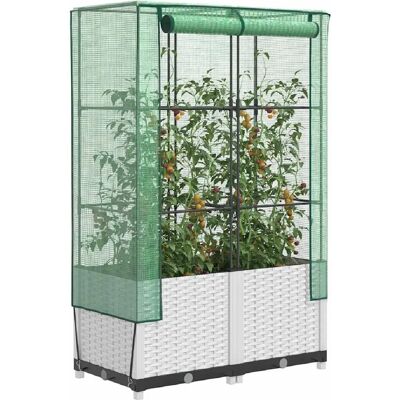 Carré surélevé avec abri de serre aspect rotin - Raised Bed with Greenhouse Cover - Publicité Carré surélevé avec abri de serre aspect rotin - Raised Bed with Greenhouse Cover - Publicité