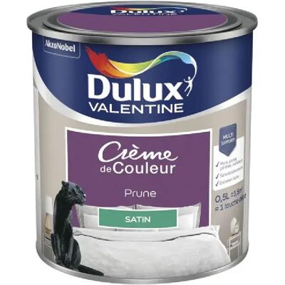 Peinture Satinée Intérieure Dulux Valentine Prune - Peinture - Publicité Peinture Satinée Intérieure Dulux Valentine Prune - Peinture - Publicité