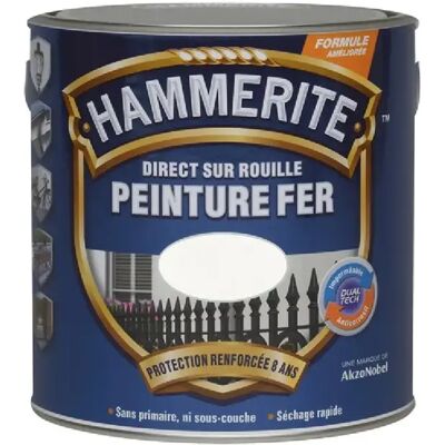 HAMMERITE FER BRI.LAQUE 2.5L VERT FORE HAMMERITE - 5093885 - Publicité HAMMERITE FER BRI.LAQUE 2.5L VERT FORE HAMMERITE - 5093885 - Publicité