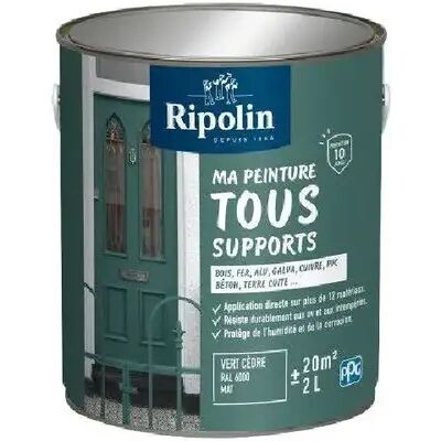 Ripolin Peinture multi-supports Vert cèdre RAL 6000 Mat 2L - Publicité Ripolin Peinture multi-supports Vert cèdre RAL 6000 Mat 2L - Publicité