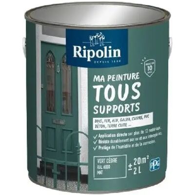 Ripolin Peinture multi-supports - Vert cèdre - RAL 6000 - Mat - 2 L - Publicité Ripolin Peinture multi-supports - Vert cèdre - RAL 6000 - Mat - 2 L - Publicité