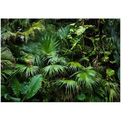 Papier Peint ARTGEIST Sunny Jungle - 400x280 Cm, Auto-adhésif, Durable - Décoration Intérieure - Publicité Papier Peint ARTGEIST Sunny Jungle - 400x280 Cm, Auto-adhésif, Durable - Décoration Intérieure - Publicité