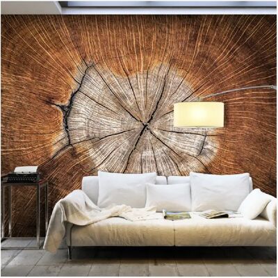 Papier Peint ARTGEIST The Soul Of A Tree (350x245 cm) - Publicité Papier Peint ARTGEIST The Soul Of A Tree (350x245 cm) - Publicité