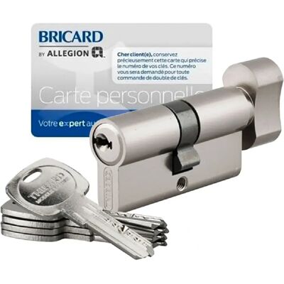 Cylindre européen a bouton barillet pour serrure de porte 30x30 mm 4 clés Traffc 6 Thirard - Publicité Cylindre européen a bouton barillet pour serrure de porte 30x30 mm 4 clés Traffc 6 Thirard - Publicité