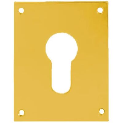 HERACLES - Plaque de propreté laiton poli - brass - 0,8 mm - brass plaque - Publicité HERACLES - Plaque de propreté laiton poli - brass - 0,8 mm - brass plaque - Publicité