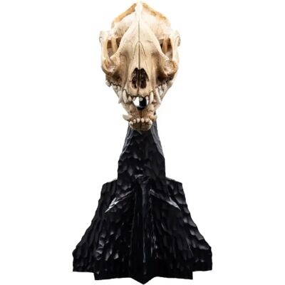 Weta Collectibles Le Seigneur des Anneaux - Statuette Skull of a Warg 20 cm - Publicité Weta Collectibles Le Seigneur des Anneaux - Statuette Skull of a Warg 20 cm - Publicité