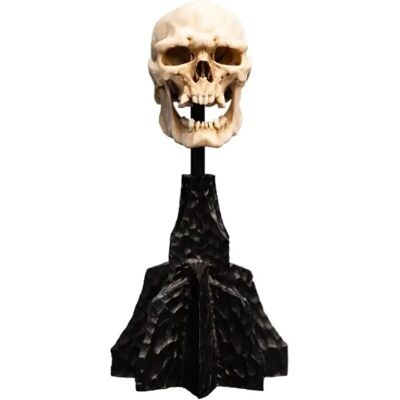 Weta Collectibles Le Seigneur des Anneaux - Statuette Skull of a Mordor Orc 14 cm - Publicité Weta Collectibles Le Seigneur des Anneaux - Statuette Skull of a Mordor Orc 14 cm - Publicité