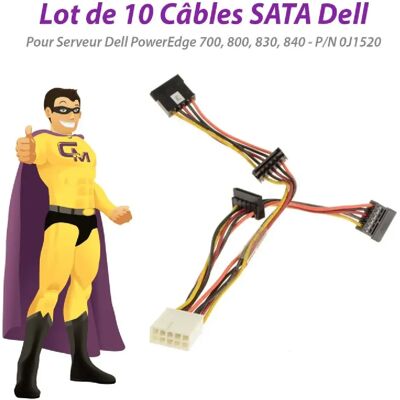 Dell Câble SATA/SAS pour PowerEdge 700 - 10 pièces - Publicité Dell Câble SATA/SAS pour PowerEdge 700 - 10 pièces - Publicité