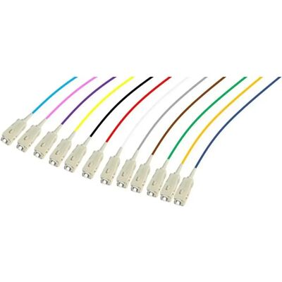 Dexlan PIGTAIL OM4 SC/UPC LSOH 12 CONNECTEURS 2m - Publicité Dexlan PIGTAIL OM4 SC/UPC LSOH 12 CONNECTEURS 2m - Publicité