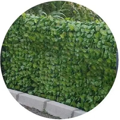 Rouleau de haie artificielle Jet7garden 1x3m - Vert, feuilles de rose - Barrière - Publicité Rouleau de haie artificielle Jet7garden 1x3m - Vert, feuilles de rose - Barrière - Publicité