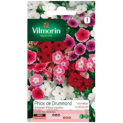 Vilmorin Phlox de Drummond Varié - Publicité Vilmorin Phlox de Drummond Varié - Publicité