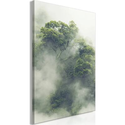 Artgeist Foggy Amazon - 80x120 - Publicité Artgeist Foggy Amazon - 80x120 - Publicité