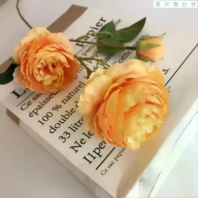 General Vases de fausses pivoines pour la décoration de la maison, 3 têtes, accessoires de mariage, fleurs décoratives, scrapbooking, jardin, produits ménagers~0463 - Publicité General Vases de fausses pivoines pour la décoration de la maison, 3 têtes, accessoires de mariage, fleurs décoratives, scrapbooking, jardin, produits ménagers~0463 - Publicité