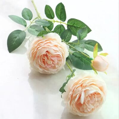 General Vases de fausses pivoines pour la décoration de la maison, 3 têtes, accessoires de mariage, fleurs décoratives, scrapbooking, jardin, produits ménagers~0460 - Publicité General Vases de fausses pivoines pour la décoration de la maison, 3 têtes, accessoires de mariage, fleurs décoratives, scrapbooking, jardin, produits ménagers~0460 - Publicité