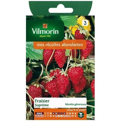 Vilmorin Fraisier des 4 Saisons Supreme - Publicité Vilmorin Fraisier des 4 Saisons Supreme - Publicité