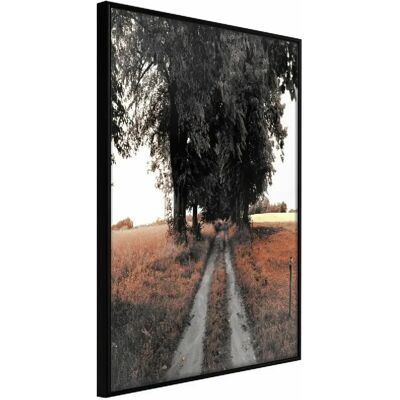 Paris Prix Field Path 40 x 60 cm - Noir - Publicité Paris Prix Field Path 40 x 60 cm - Noir - Publicité