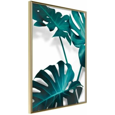 Paris Prix Affiche Encadrée Turquoise Monstera II 30x45 cm - Publicité Paris Prix Affiche Encadrée Turquoise Monstera II 30x45 cm - Publicité