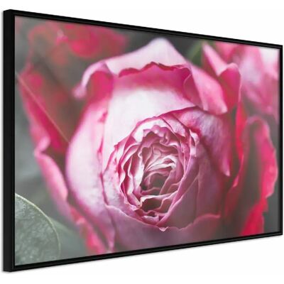 Paris Prix Affiche Encadrée Blooming Rose - Noir - Publicité Paris Prix Affiche Encadrée Blooming Rose - Noir - Publicité