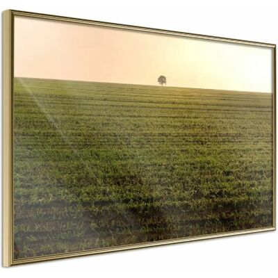 Paris Prix Affiche encadrée Farmland - 45 x 30 cm - Publicité Paris Prix Affiche encadrée Farmland - 45 x 30 cm - Publicité