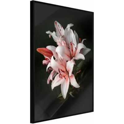 Paris Prix Affiche Murale Encadrée Pale Pink Lilies - 30 x 45 cm - Noir - Publicité Paris Prix Affiche Murale Encadrée Pale Pink Lilies - 30 x 45 cm - Noir - Publicité