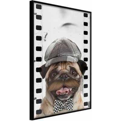 Posters encadrés Artgeist - Dressed Up Pug - 30 x 45 Cm - Cadre noir - Publicité Posters encadrés Artgeist - Dressed Up Pug - 30 x 45 Cm - Cadre noir - Publicité