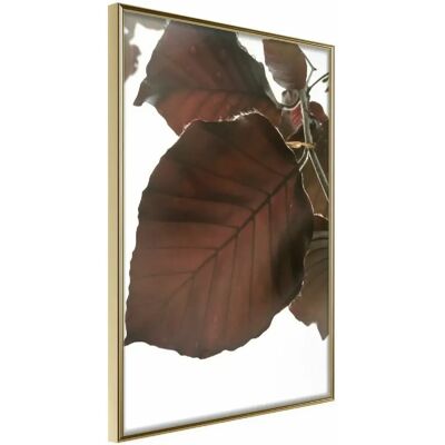 Paris Prix Affiche Murale Encadrée Burgundy Tilia Leaf 20 x 30 cm - Or - Publicité Paris Prix Affiche Murale Encadrée Burgundy Tilia Leaf 20 x 30 cm - Or - Publicité