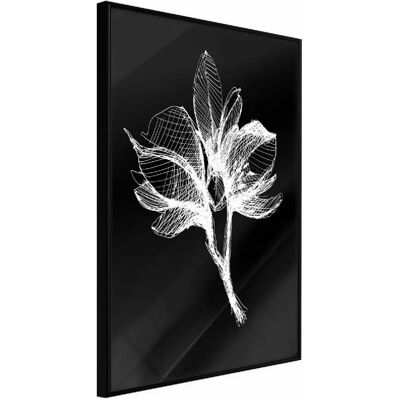 Affiche White Plant d'Artgeist - 40x60 - Minimalisme encadré - Publicité Affiche White Plant d'Artgeist - 40x60 - Minimalisme encadré - Publicité