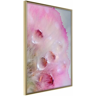 Artgeist Tears Of Happiness - Affiche - 40x60 Cadre Doré - Publicité Artgeist Tears Of Happiness - Affiche - 40x60 Cadre Doré - Publicité