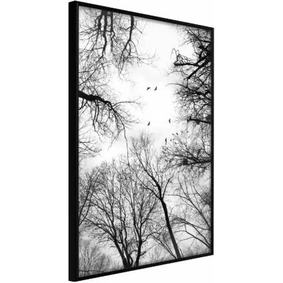 Paris Prix Affiche encadrée Treetops 30x45 cm - Noir - Publicité Paris Prix Affiche encadrée Treetops 30x45 cm - Noir - Publicité