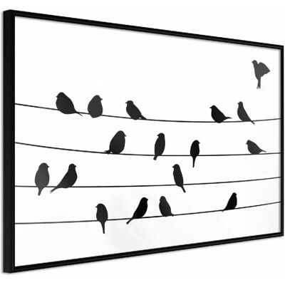 Poster Encadré - Birds Council Meeting - Artgeist - Noir - Publicité Poster Encadré - Birds Council Meeting - Artgeist - Noir - Publicité