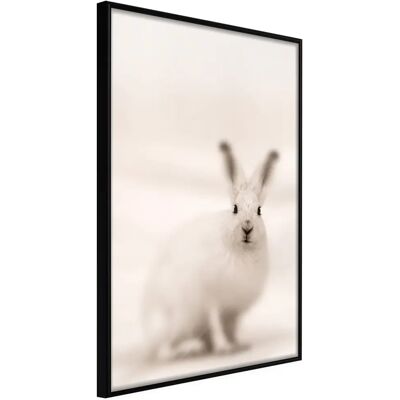 Artgeist Poster Lapin Curieux - 40x60 Cadre Noir - Publicité Artgeist Poster Lapin Curieux - 40x60 Cadre Noir - Publicité