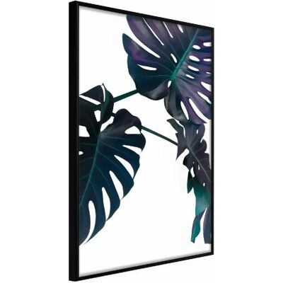 Affiche Artgeist - Monstera Evergreen - Cadre Noir - Publicité Affiche Artgeist - Monstera Evergreen - Cadre Noir - Publicité