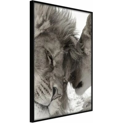 Artgeist Couple Prédatrice - Cadre Noir 20x30 - Publicité Artgeist Couple Prédatrice - Cadre Noir 20x30 - Publicité