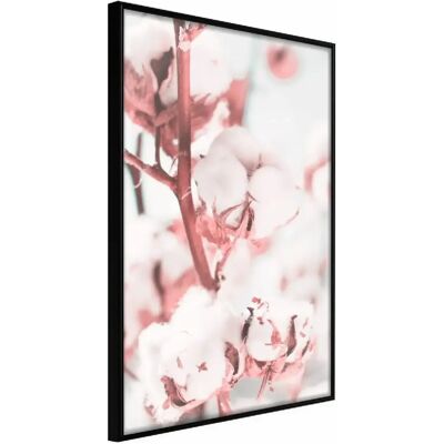 Artgeist Cotton Flowers - Poster Encadré - 30x45 cm - Cadre Noir - Publicité Artgeist Cotton Flowers - Poster Encadré - 30x45 cm - Cadre Noir - Publicité