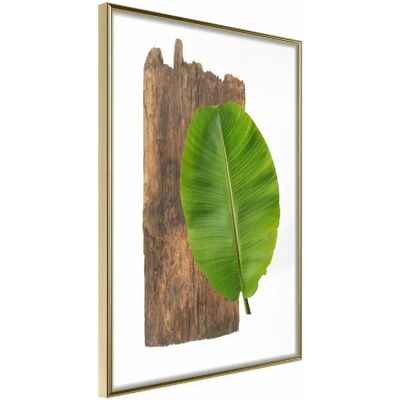 Artgeist Forest Nature - Cadre Doré - Affiche 20x30cm - Publicité Artgeist Forest Nature - Cadre Doré - Affiche 20x30cm - Publicité
