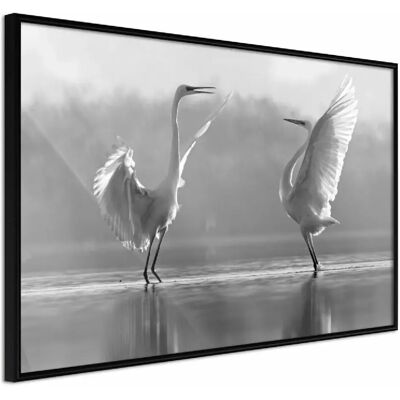 Artgeist Cormorans en Noir et Blanc - Affiche - 90x60cm - Publicité Artgeist Cormorans en Noir et Blanc - Affiche - 90x60cm - Publicité