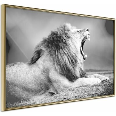 Paris Prix Affiche Murale Encadrée Yawning Lion 90 x 60 cm - Publicité Paris Prix Affiche Murale Encadrée Yawning Lion 90 x 60 cm - Publicité
