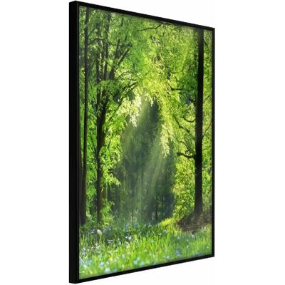 Artgeist Chemin Forestier - Affiche avec Cadre & Passepartout - 20x30cm - Publicité Artgeist Chemin Forestier - Affiche avec Cadre & Passepartout - 20x30cm - Publicité