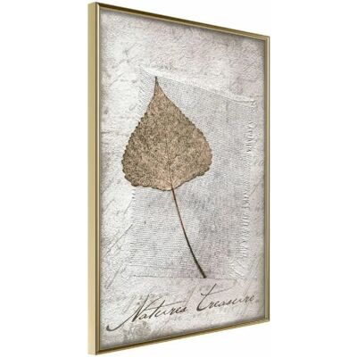 Paris Prix Dried Leaf - Publicité Paris Prix Dried Leaf - Publicité