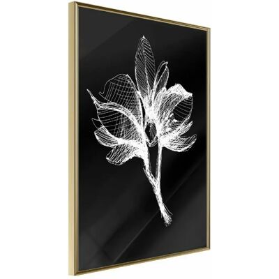 Affiche White Plant de Artgeist - 20x30 cm - Encadrée - Publicité Affiche White Plant de Artgeist - 20x30 cm - Encadrée - Publicité