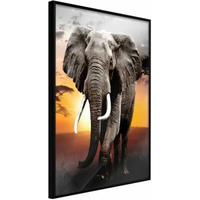 Artgeist Majestic Elephant - Cadre Noir 40x60 - Publicité Artgeist Majestic Elephant - Cadre Noir 40x60 - Publicité