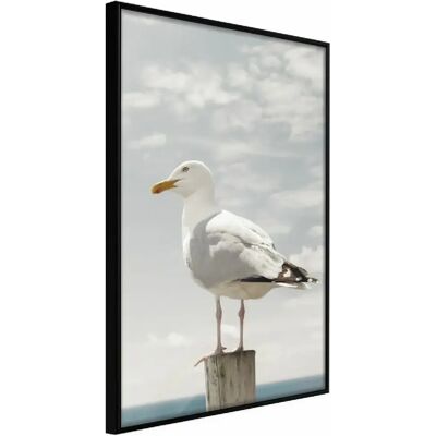 Affiche Artgeist Mouette Curieuse - Options de Cadre - Publicité Affiche Artgeist Mouette Curieuse - Options de Cadre - Publicité