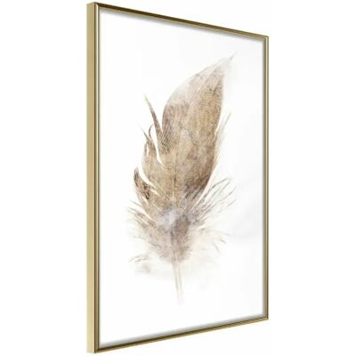 Paris Prix Affiche Encadrée Lost Feather - 40 x 60 cm - Publicité Paris Prix Affiche Encadrée Lost Feather - 40 x 60 cm - Publicité