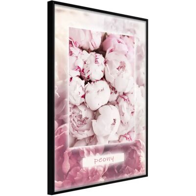 Paris Prix Affiche Murale Encadrée Scent of Peonies - Multicolore - Publicité Paris Prix Affiche Murale Encadrée Scent of Peonies - Multicolore - Publicité